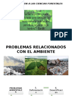 Problemas Relacionados Con El Ambiente