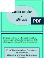 Ciclo Celular y Mitosis