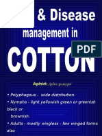 Pest&Dis - MGMT in Cotton