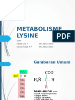 Metabolisme Lysine 2