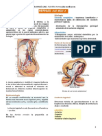 Hernias Abdominales Plus PDF