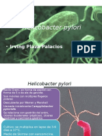 Helicobacter Pylori