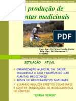 A Produção de Plantas Medicinais