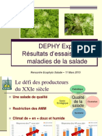 Rencontre Ecophyto Salade 2015