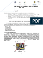 Suport curs competente informatice STEF.pdf