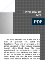 Histology of the Liver - Hepatocytes, Sinusoids & Cells