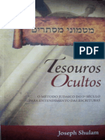 Tesouros Ocultos - Joseph Shulam