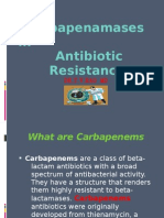 Carbapenamses in Antibiotic Resistance 