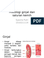 Histologi Ginjal Dan Saluran Kemih