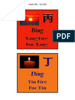 YANG FIRE - YIN FIRE.pdf