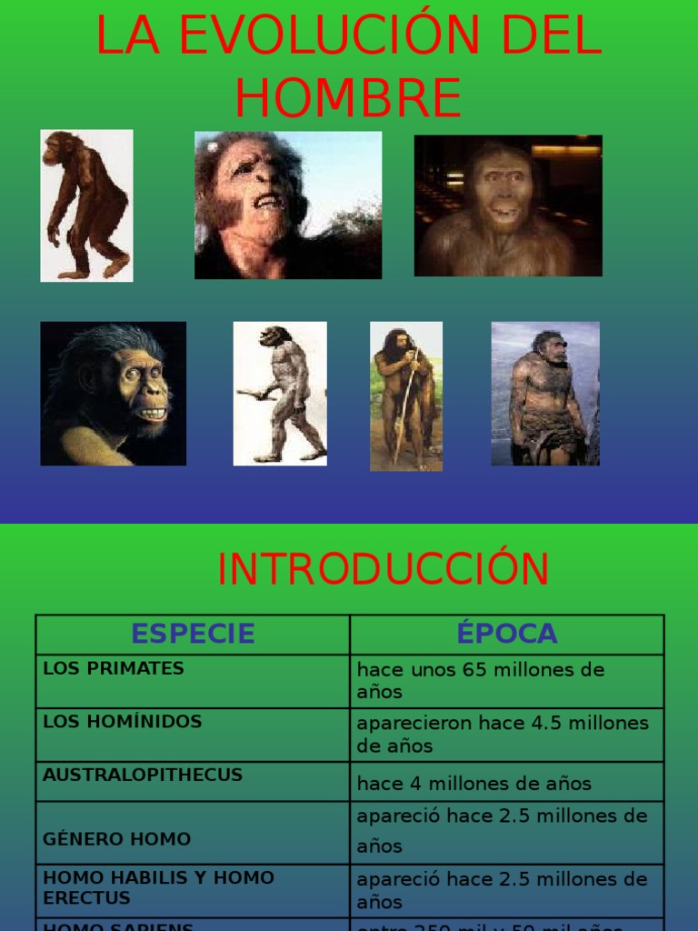 La Evolucion Del Hombre | PDF | Homo | Evolución humana
