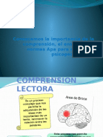 Comprension Ensayo y Normas Apa 1 COMPLETO