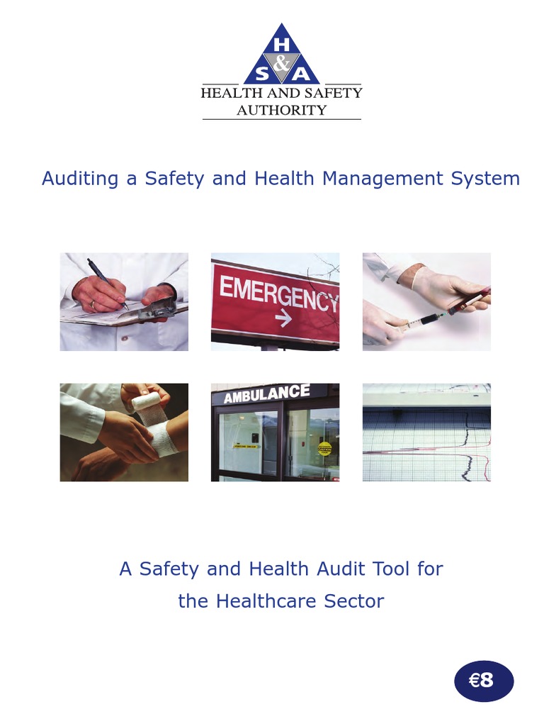 Auditing Healthcare PDF Audit Occupational Safety And Health