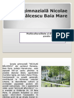 Şcoala Gimnazială Nicolae Bălcescu Baia Mare - Promovare - Ed - Romi - 2014