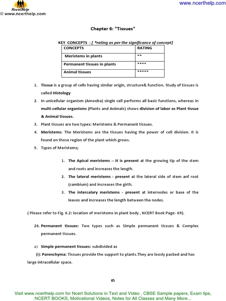 Class 9 Science: Tissues Overview | PDF | Tissue (Biology) | Epithelium