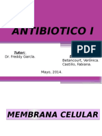 Antibiotico 1 Nuevo