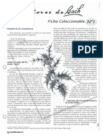 floresdebachfichas-140514075533-phpapp02.pdf