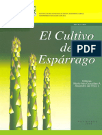 Cultivo de Esparrago PDF