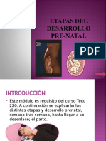 Etapas Del Desarrollo Pre Natal, Mes a Mes