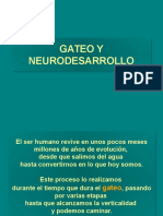 01.-Gateo y Neurodesarrollo