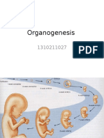 Organogenesis