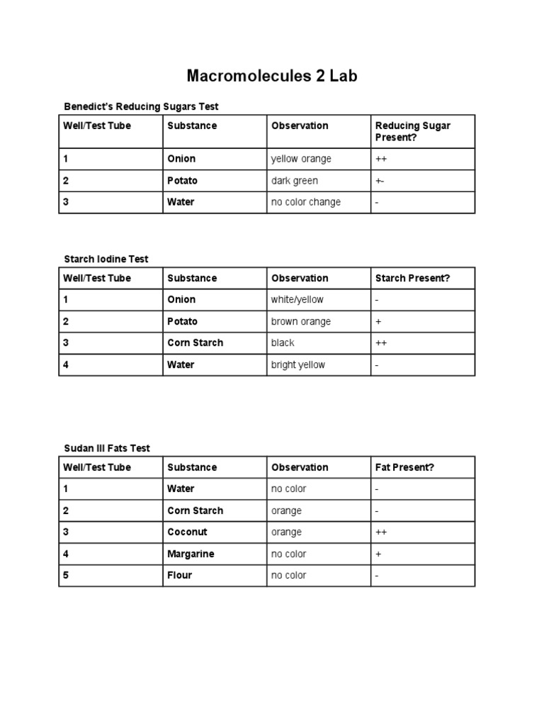 Macromolecule Testing Results Summary | PDF | Staining | Fat