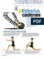 Estiramientos Cadenas Musculares PDF