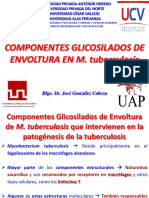 Componentes Glicosilados de m. Tuberculosis - Dr. j. Gonzalez Cabeza