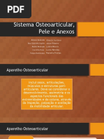 Sistema Osteoarticular e Anexos