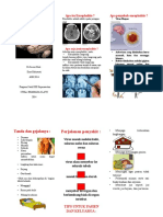 LEAFLET ENCEPHALITIS.docx