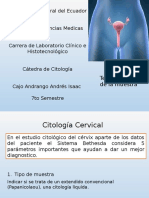 Calidad de La Muestra de Papanicolaou