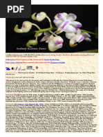 Download Aerides odorata by Medel Santillan SN313111121 doc pdf