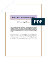 Openhole Wireline Logging