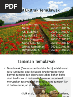 Download Tablet Temulawak by Ellena Maggyvin SN313126976 doc pdf
