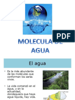 moleculadeagua-140210195834-phpapp01