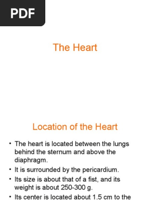 Heart