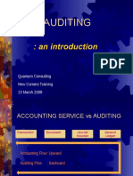 Audit An Introduction