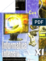 Informatica intensiv