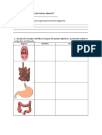 guiadeclasesfuncionesdelsistemadigestivo.pdf