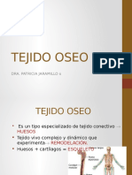 Tejido Oseo