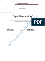 CSE Digital Watermarking Report