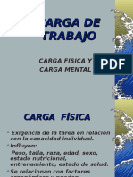 CARGA DE TRABAJO.ppt