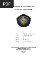 Download LAPORAN DBT BAHAN DAN MEDIA TANAM by Fridia Arintya SN313179558 doc pdf