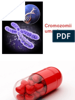 Cromozomii Umani ROM 2012