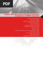 Meet the brics case study answers 08 picture