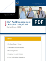 0508 SAP Audit Management a Simple and Elegant Tool