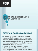 Sistema Cardiovascular e Sistema Linfático
