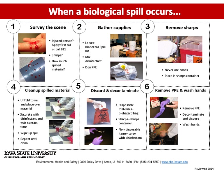 Bio Spill Proc | PDF | Science & Mathematics