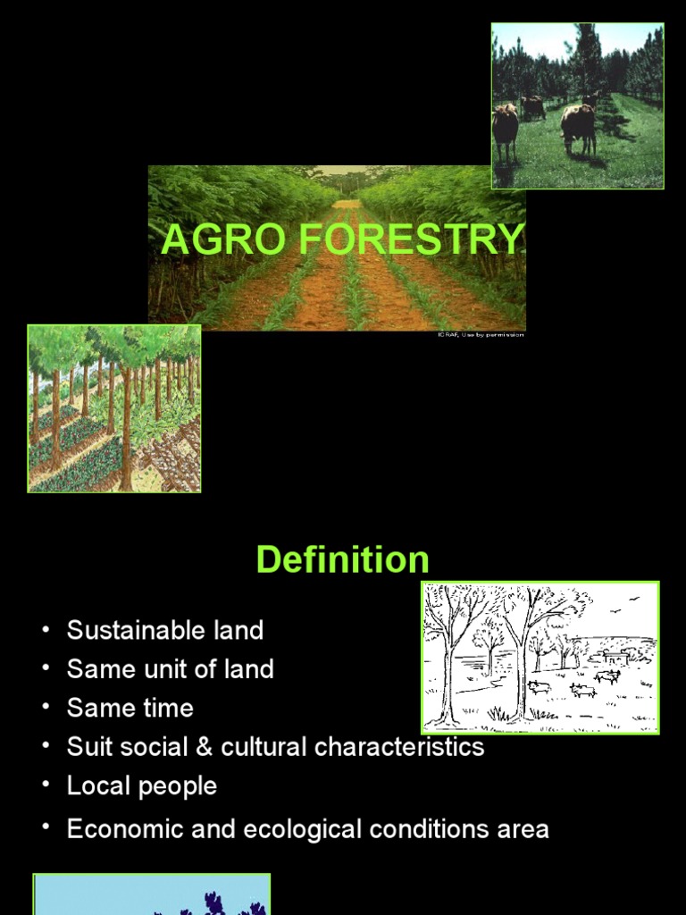 6.agroforestry Social Forestry | PDF