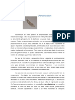 Organismo modelo Paramecium